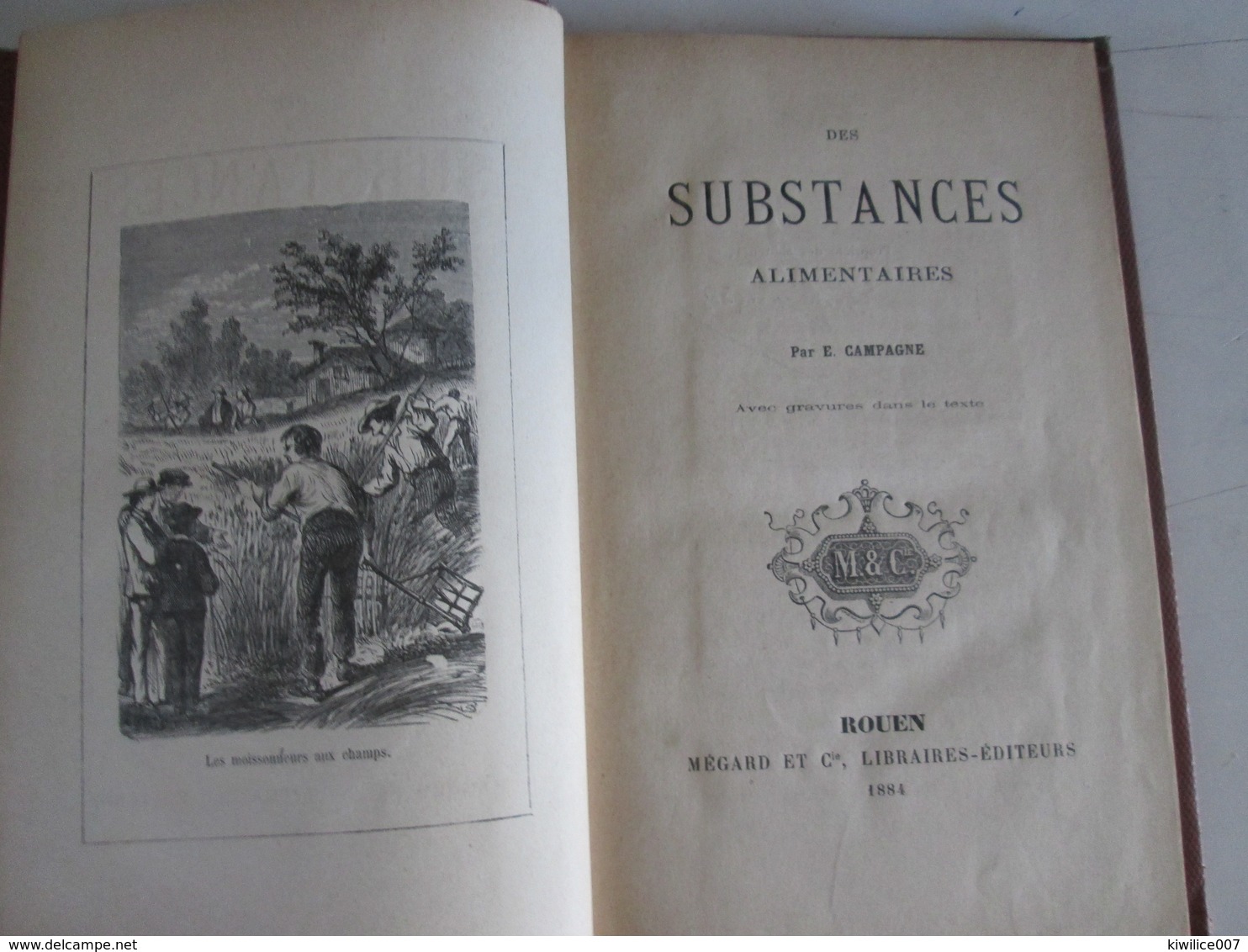 Des Substances Alimentaires E Campagne  1884   Alimentation Biologique Ecologie  Blé Farine Viande - 1801-1900