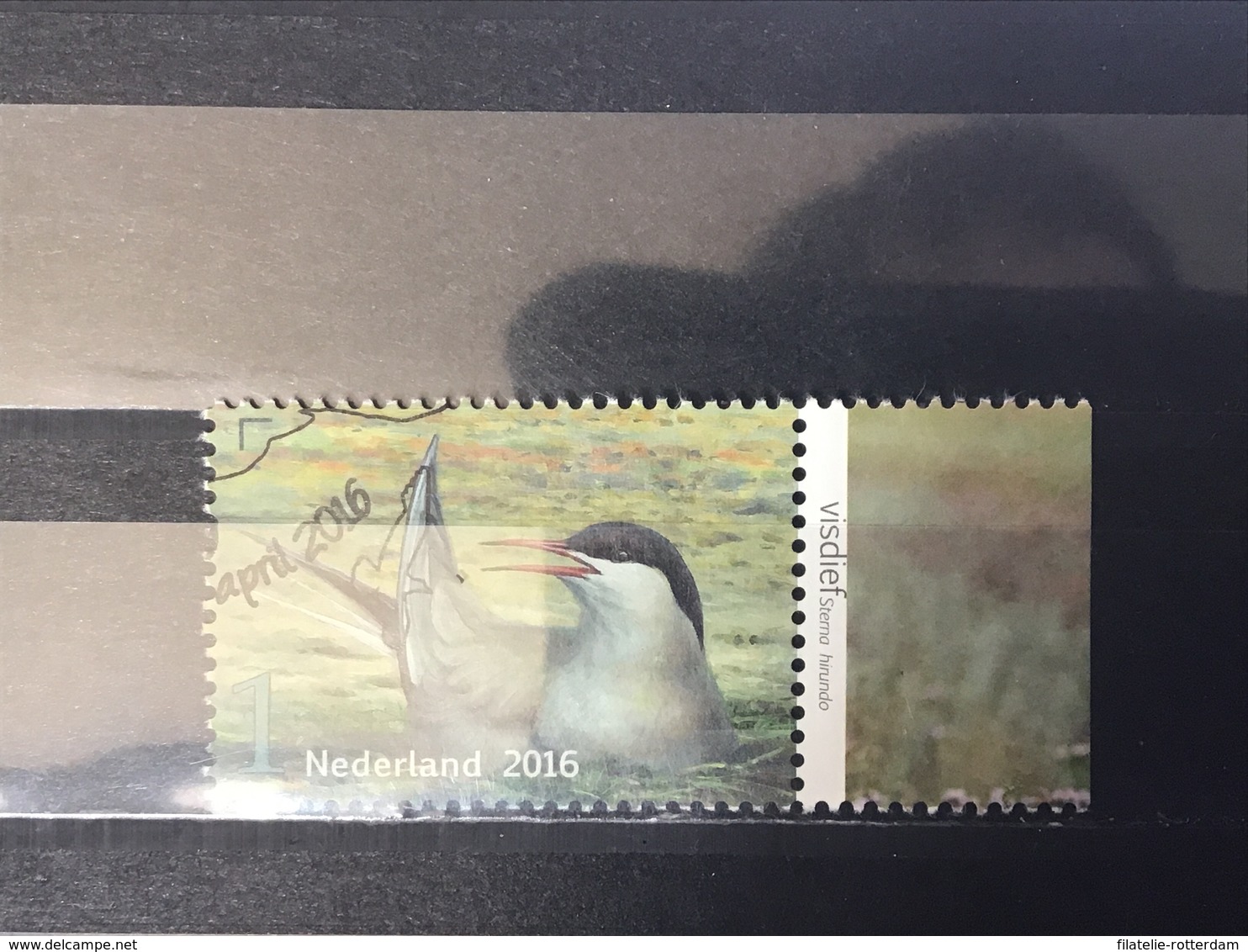 Nederland / The Netherlands - Vogels Van De Wadden 2016 - Used Stamps