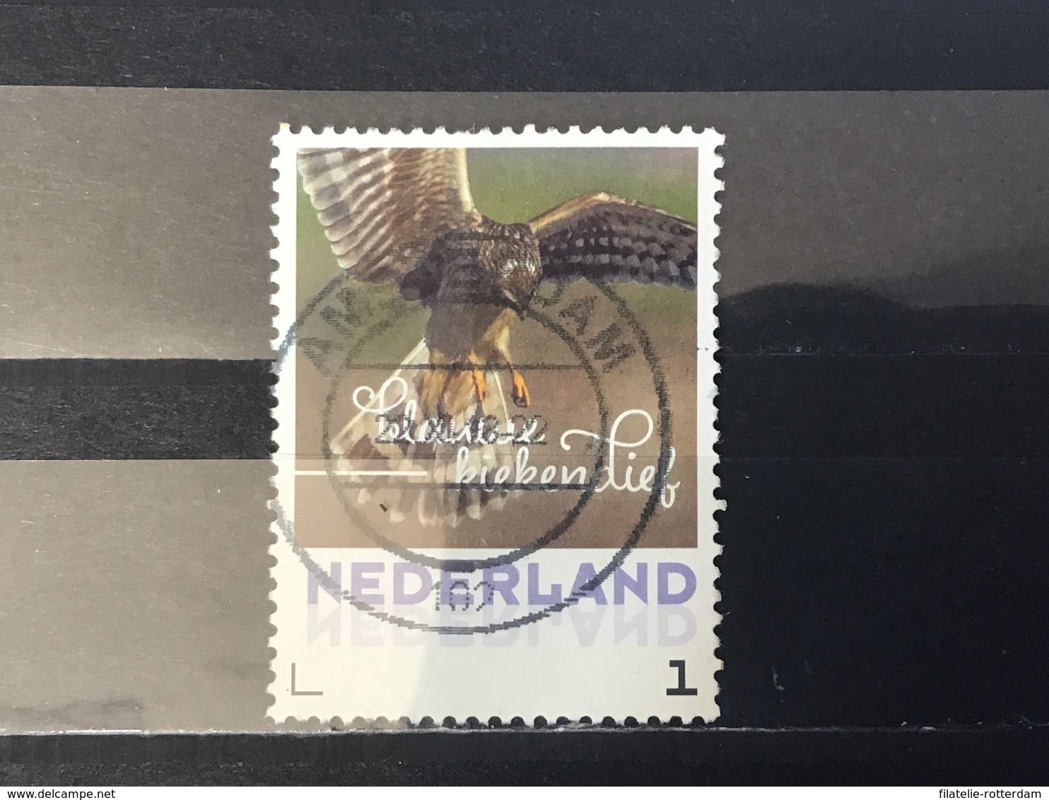 Nederland / The Netherlands - Herfstvogels, Kiekendief 2017 - Used Stamps