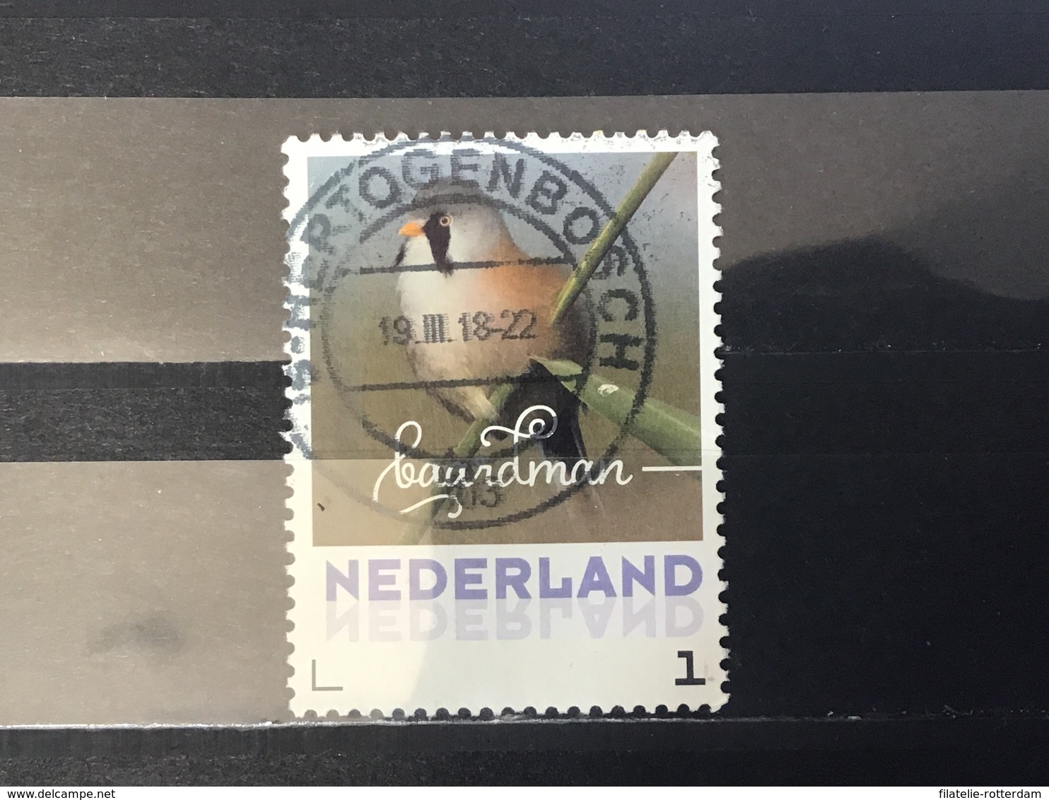 Nederland / The Netherlands - Herfstvogels, Baardman 2017 - Gebruikt