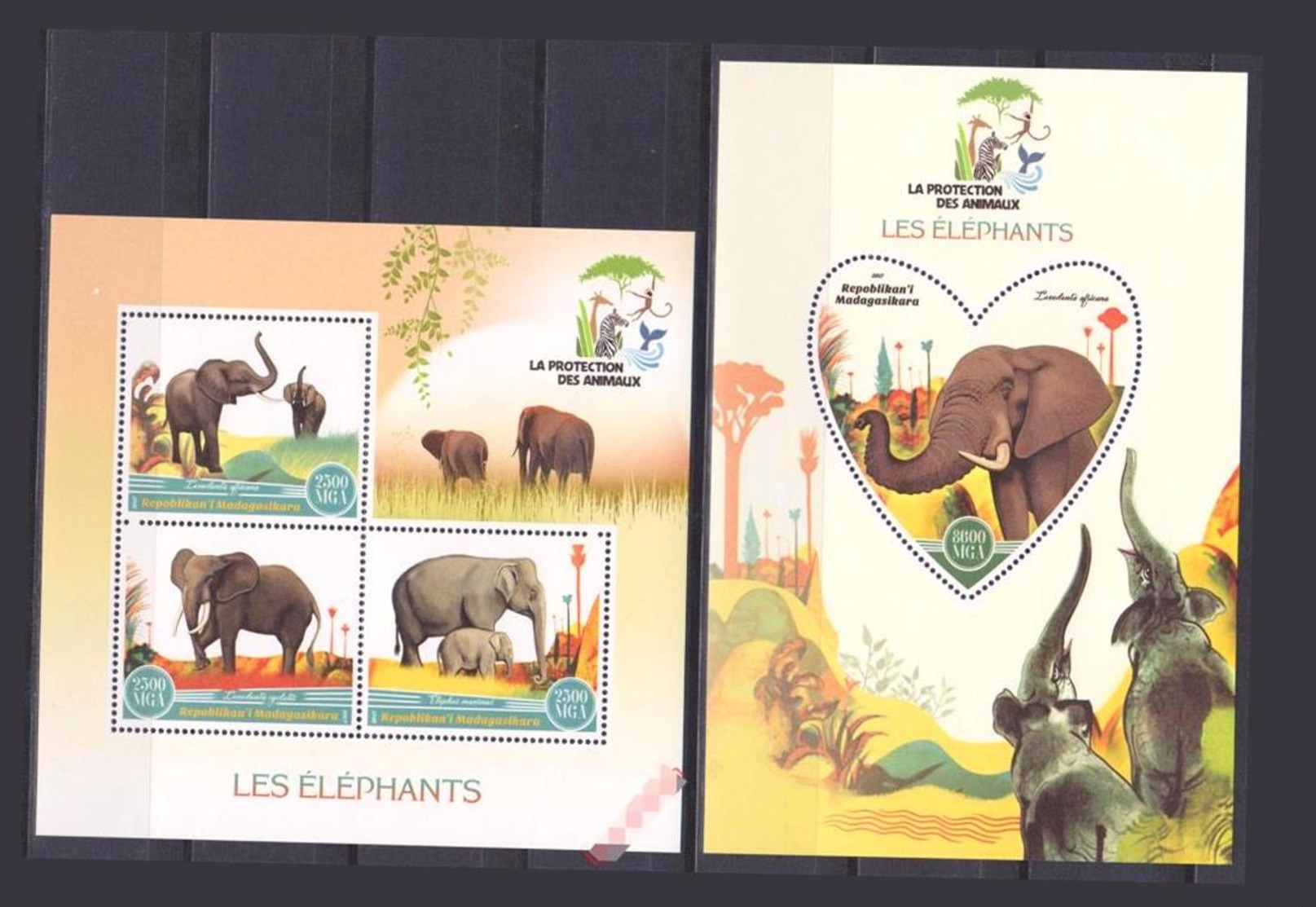 Madagascar Faune éléphants 2018 Dents - Elefanti