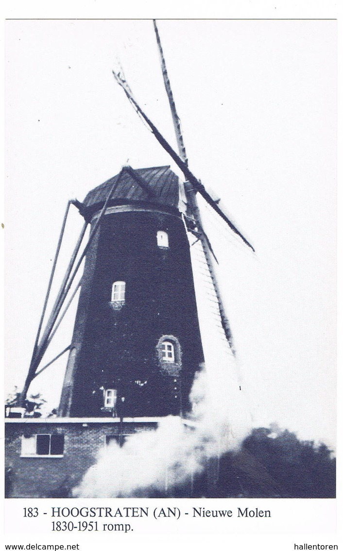 Hoogstraten: Nieuwe Molen ( 2 Scans) - Hoogstraten