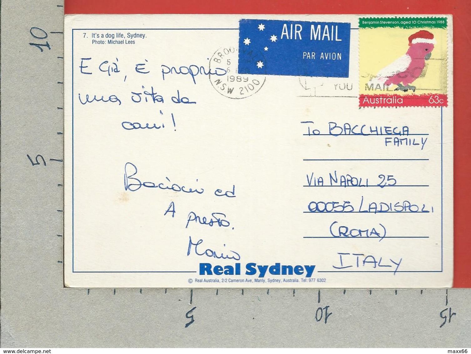 CARTOLINA VG AUSTRALIA - SIDNEY - It's A Dog Life - 10 X 15 - ANN. 1989 - Sydney