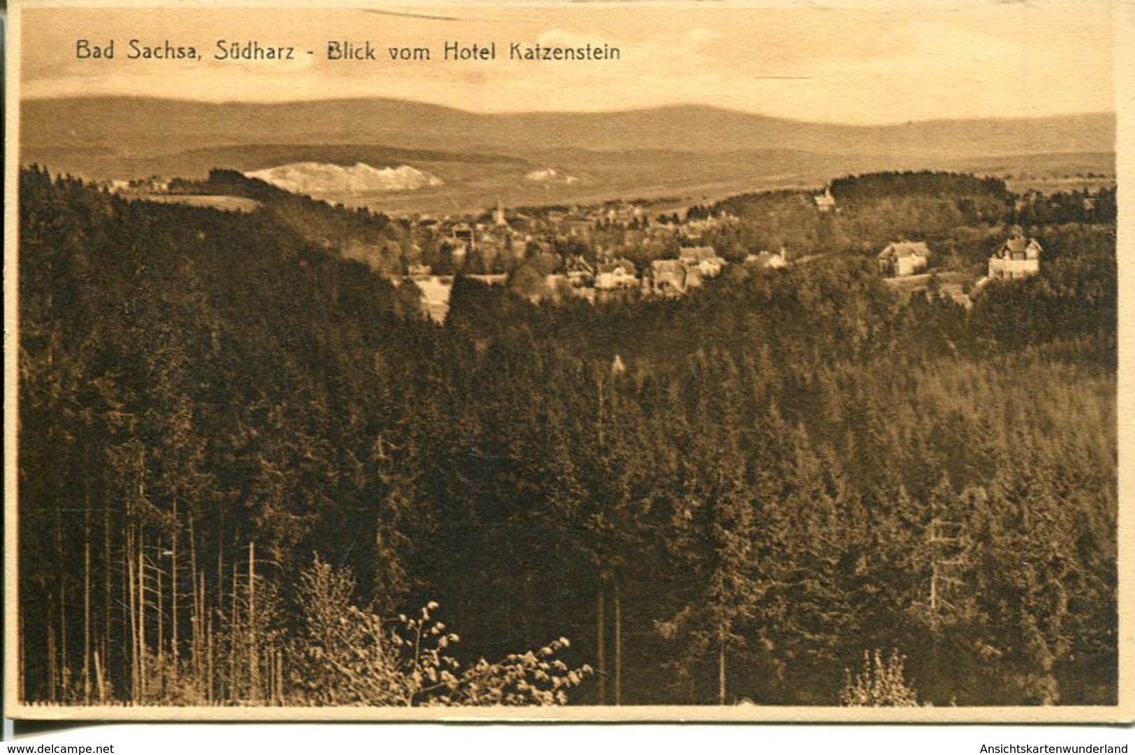006482  Bad Sachsa - Blick Vom Hotel Katzenstein - Bad Sachsa