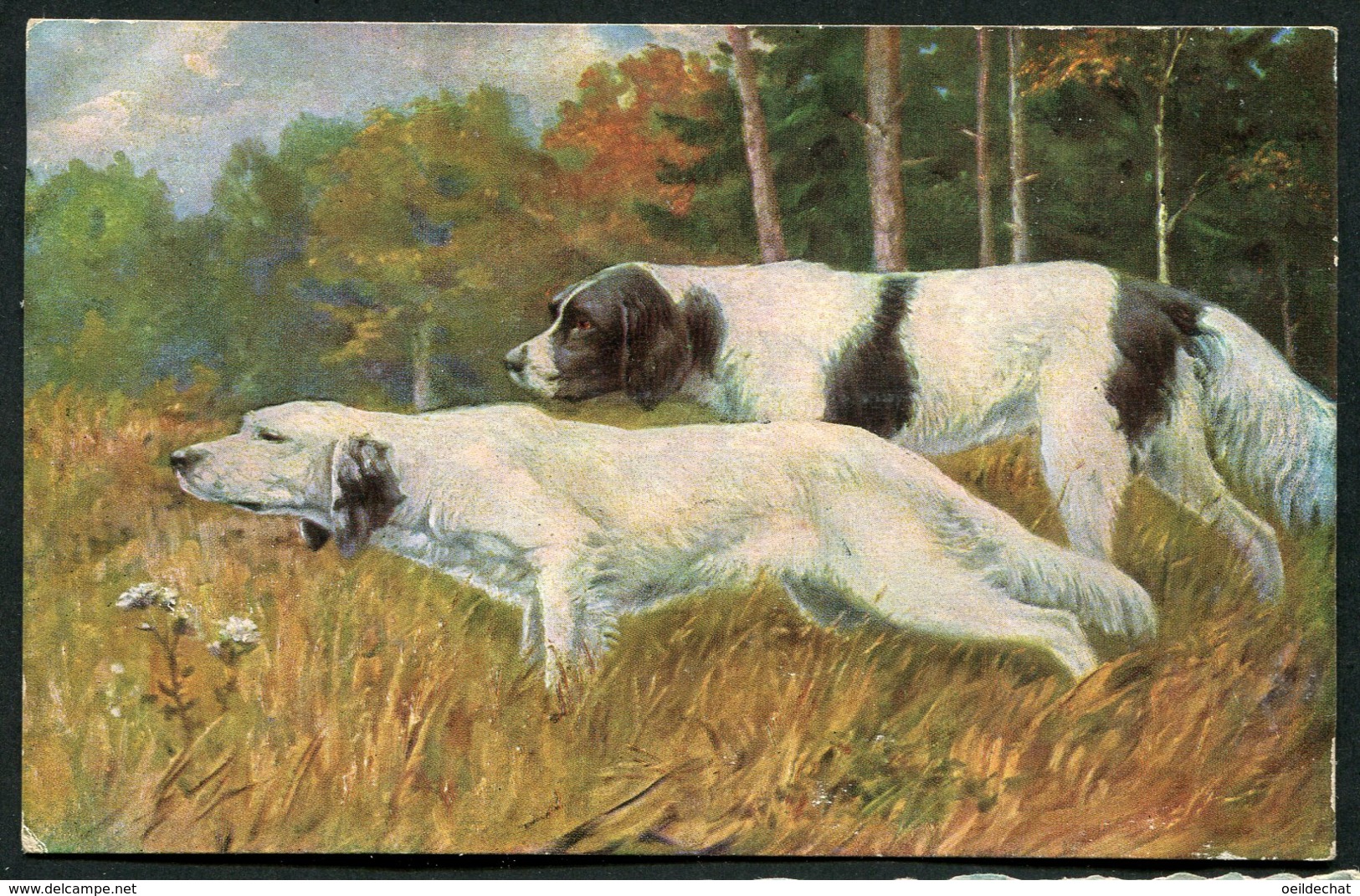 11449  CPA  Chiens De Chasse - Dogs