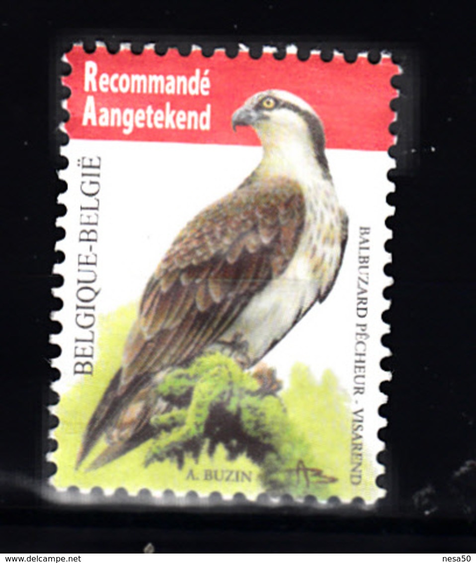 Belgie 2011 Mi Nr 4137 Visarend, Fishhawk: Aangetekend, Registered, Niet Gestempeld - Usati