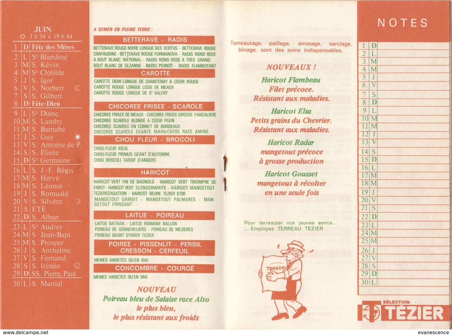 °°°   CALENDRIER DES SEMIS TEZIER PETIT CALEPIN    °°°   ////  REF  .  FEV. 19 / N° 8113 - Formato Piccolo : 1971-80