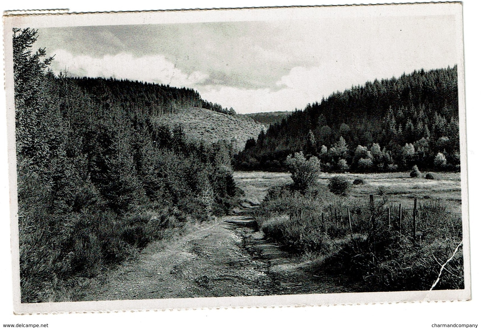 Fauvillers - Gué D'Helbru - Circulée - Edit. Vve Lardinois - 2 Scans - Fauvillers