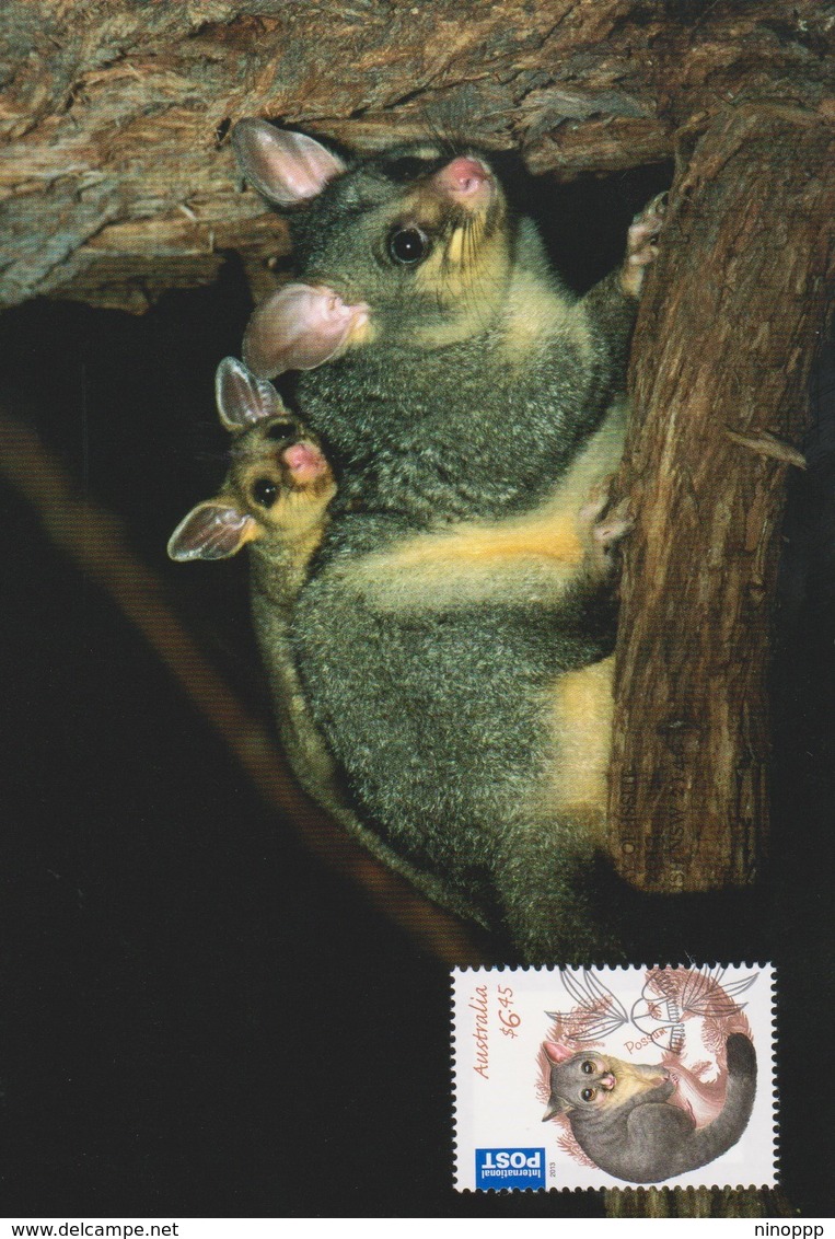 Australia 2013 Bush Babies,Brush-tailed Possum, Maximum Card - Maximum Cards