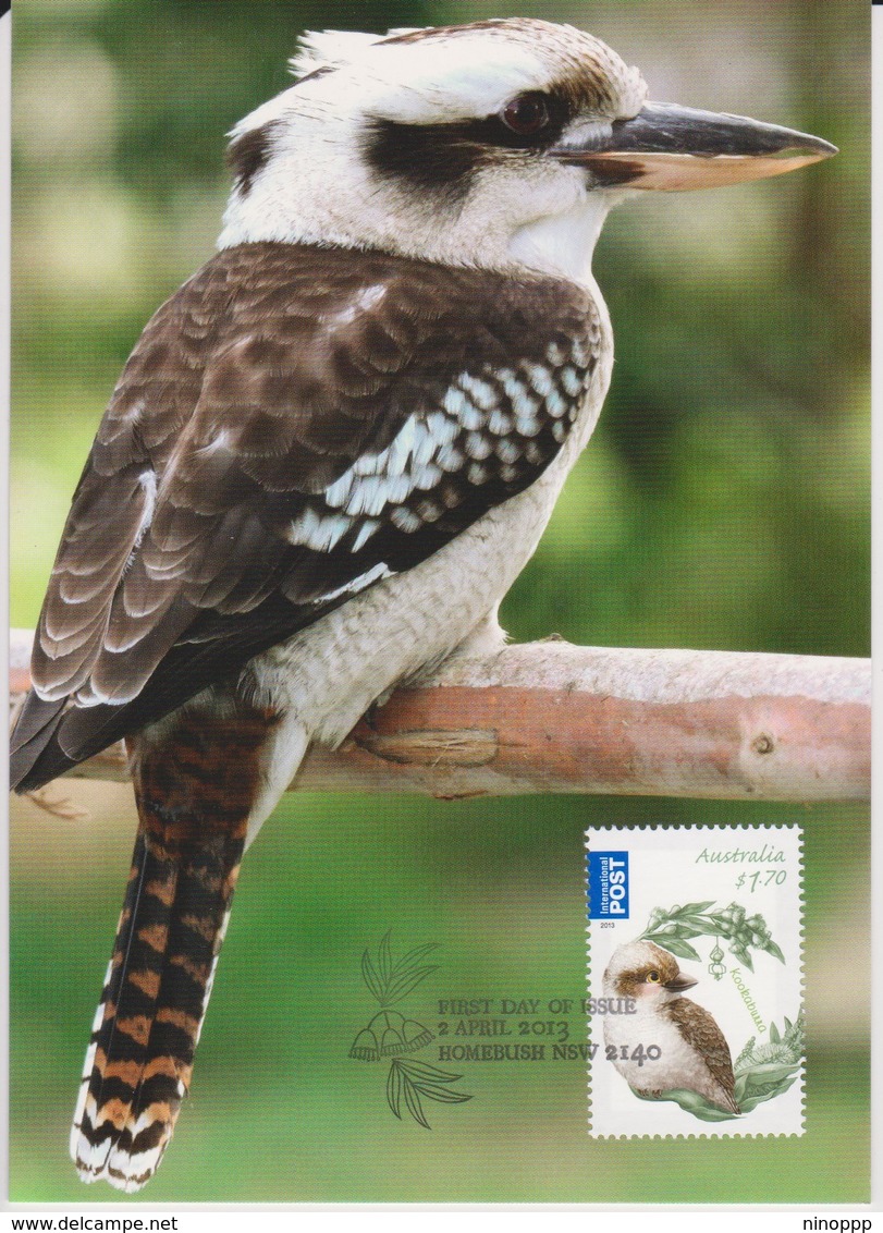 Australia 2013 Bush Babies,Kookaburra, Maximum Card - Maximum Cards