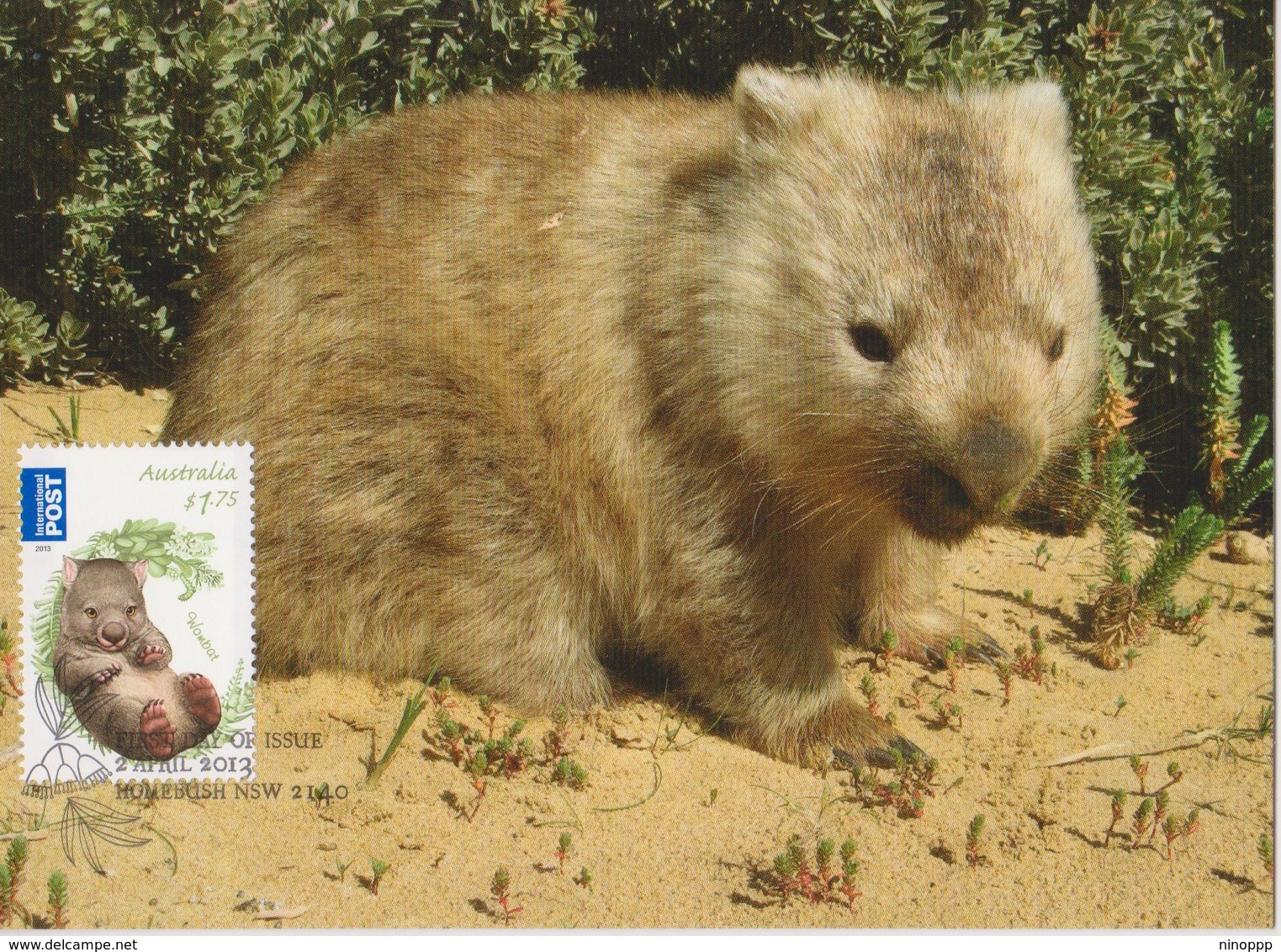 Australia 2013 Bush Babies,Wombat, Maximum Card - Maximum Cards