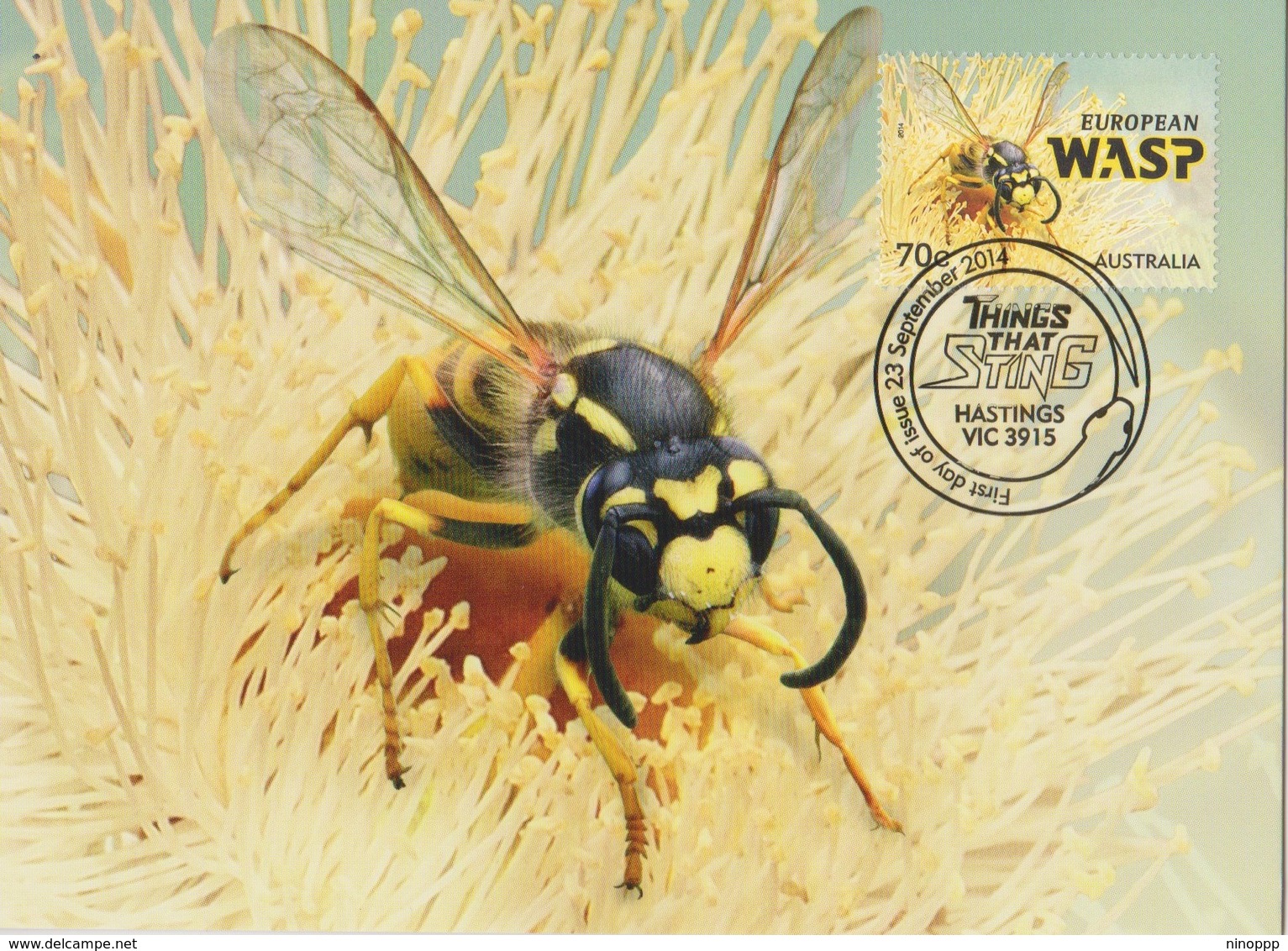 Australia 2014 Things That Sting,European Wasp, Maximum Card - Maximum Cards