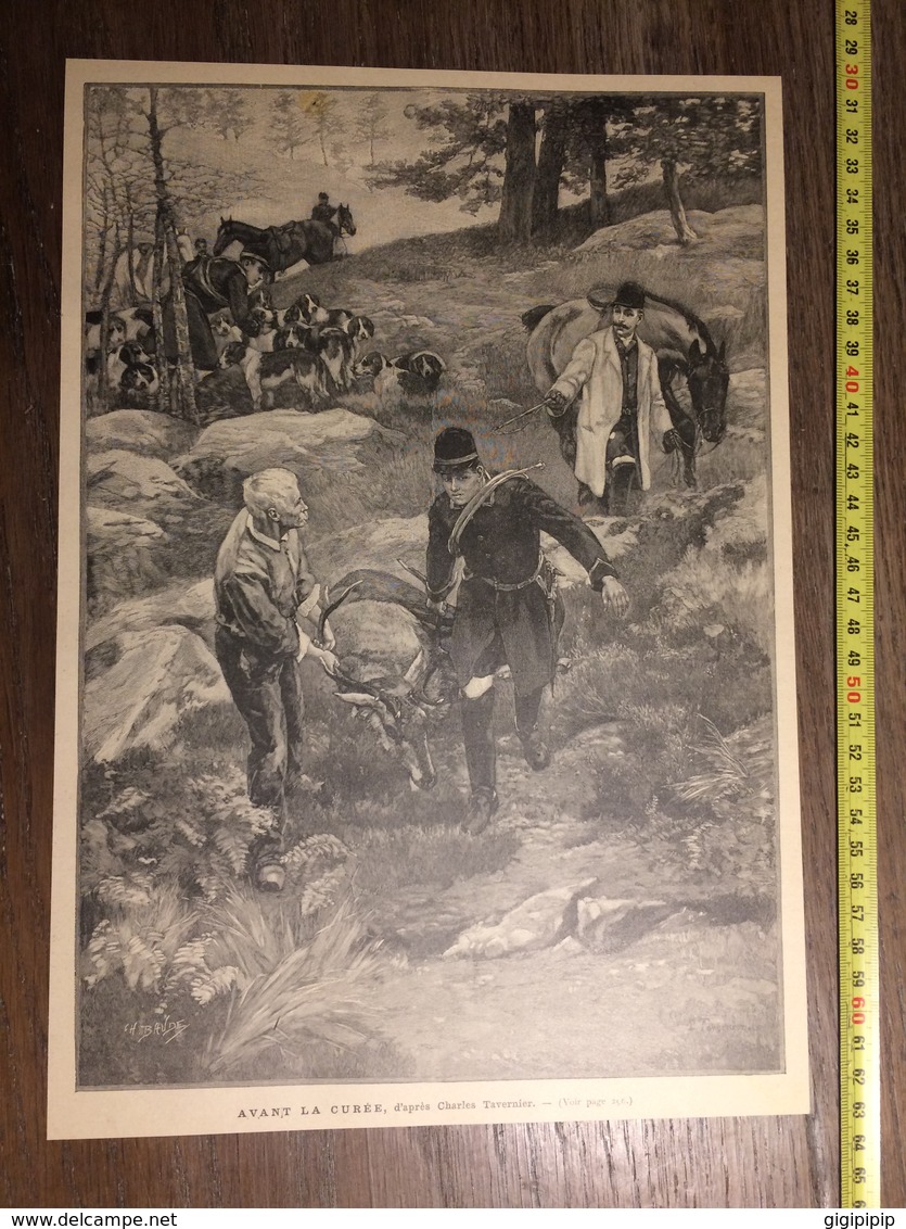 DOCUMENT 1897 AVANT LA CUREE CHARLES TAVERNIER SCENE DE CHASSE CERF - Collections