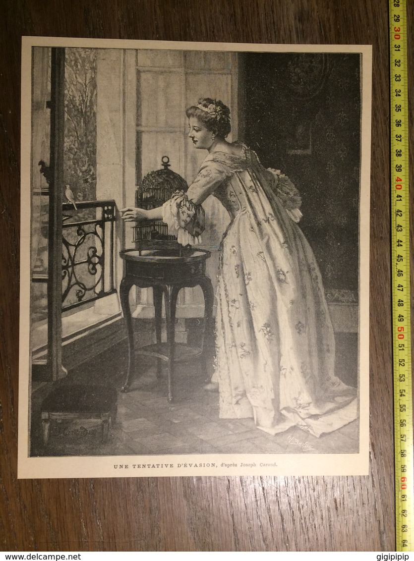 DOCUMENT 1897 UNE TENTATIVE D EVASION JOSEPH CARAUD FEMME CAGE OISEAU - Collections