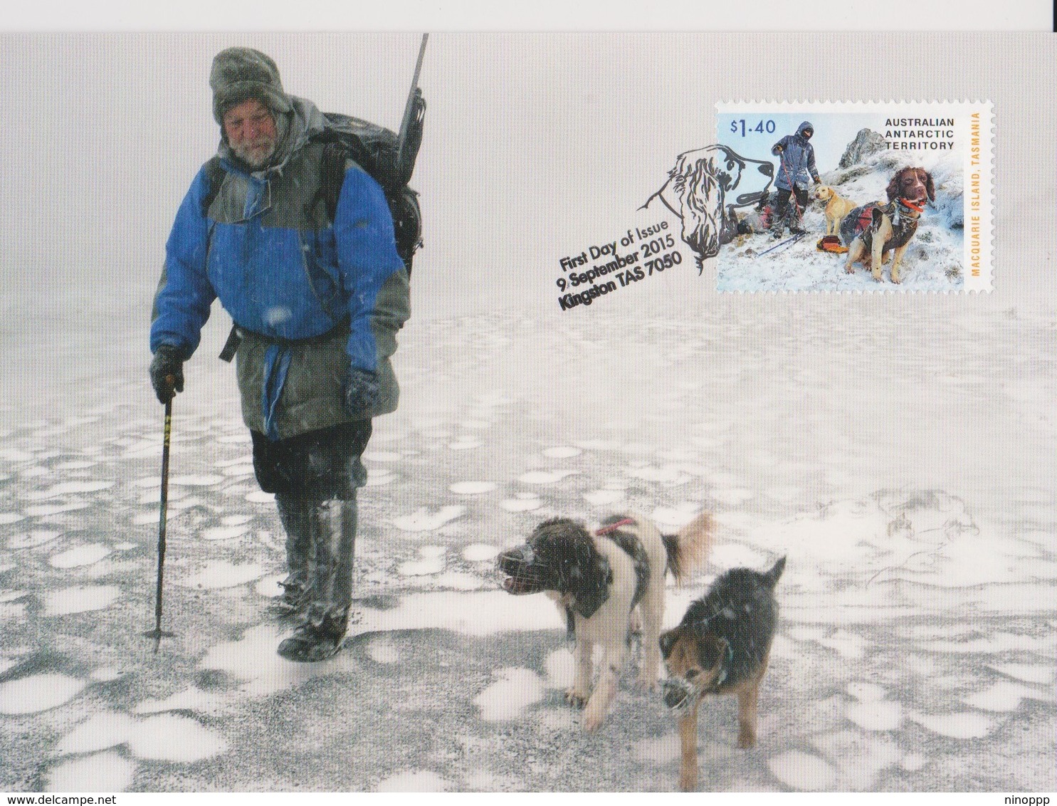 Australian Antarctic Territory 2015 The Dogs That Saved Macquarie Island,Handler And Dogs In Snow,maximum Card - Cartoline Maximum