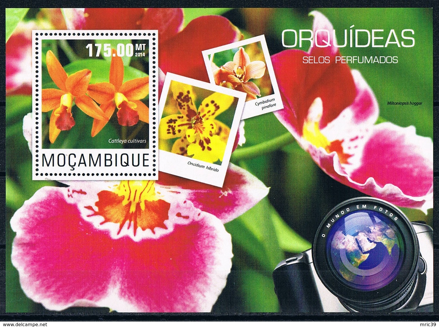 Bloc Sheet Fleurs Orchidees Flowers Orchids  Neuf  MNH **  Mozambique Moçambique  2014 - Orchidées