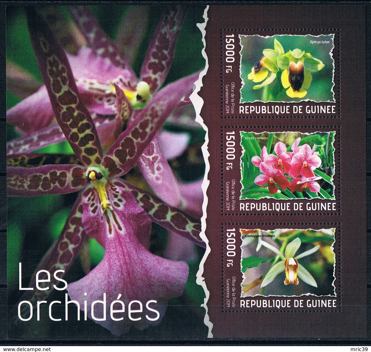 Bloc Sheet Fleurs Orchidees Flowers Orchids  Neuf MNH ** Guinee 2014 - Orchidées