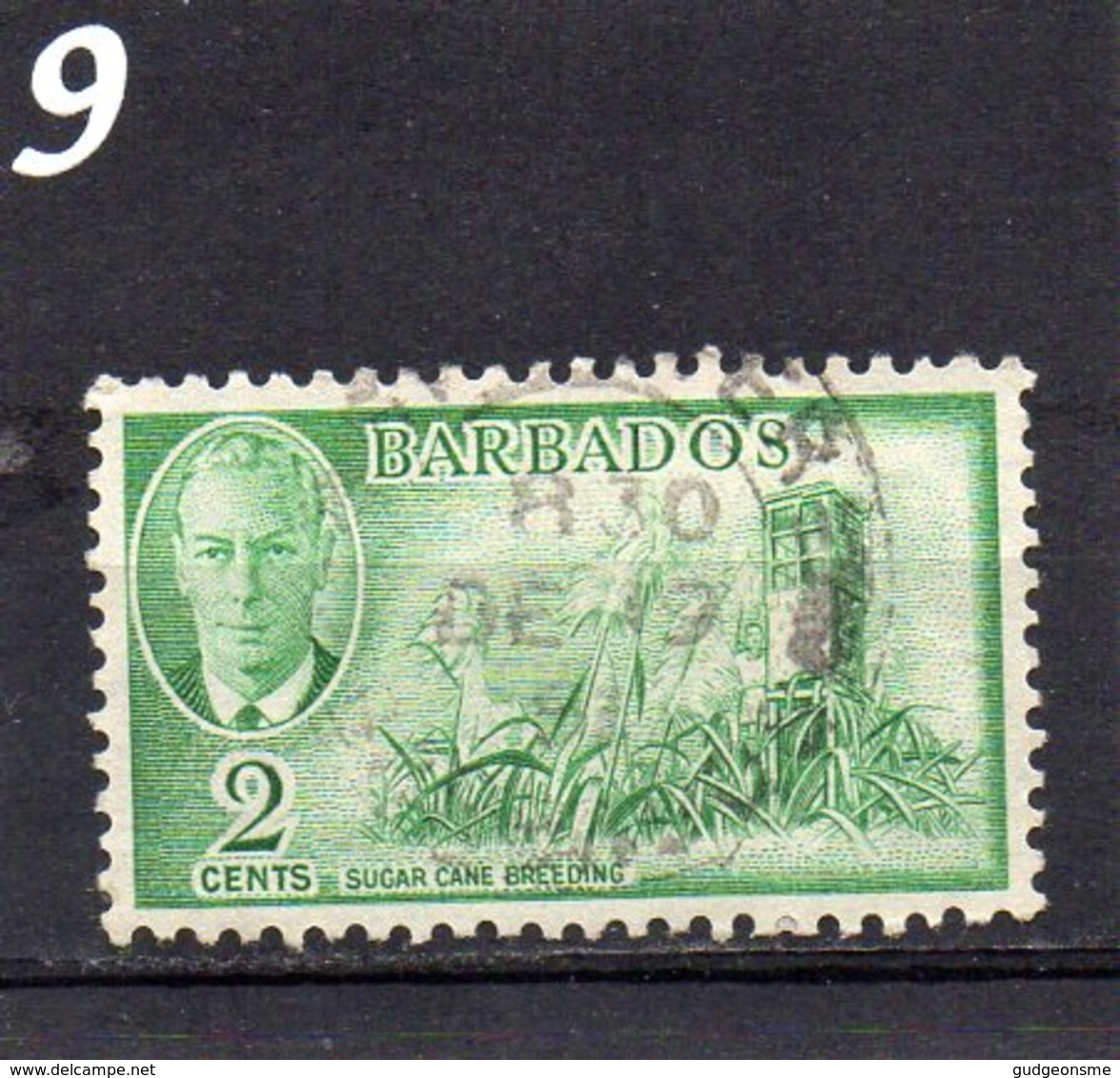 1950 GV1 Issue 2c Used - Barbados (...-1966)