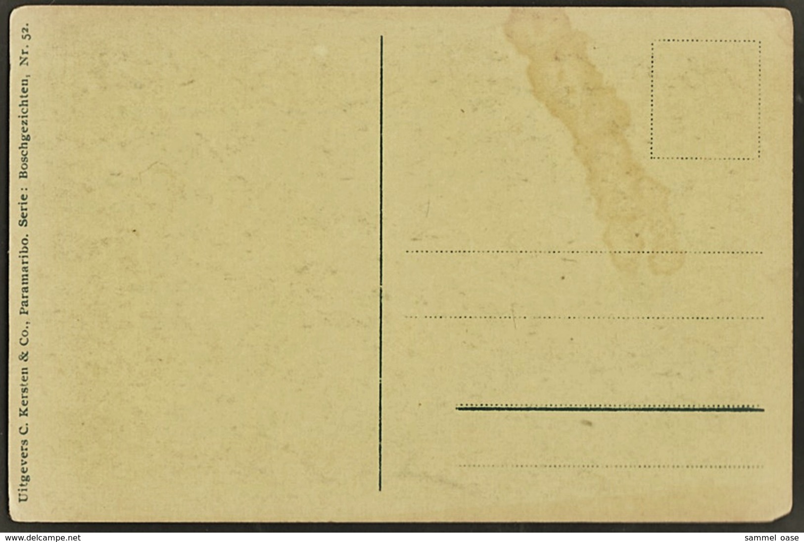 Holl. Guyana  -  Kokospalm  -  Plantage Morgenstond  -  Ansichtskarte Ca.1910    (9918) - Suriname