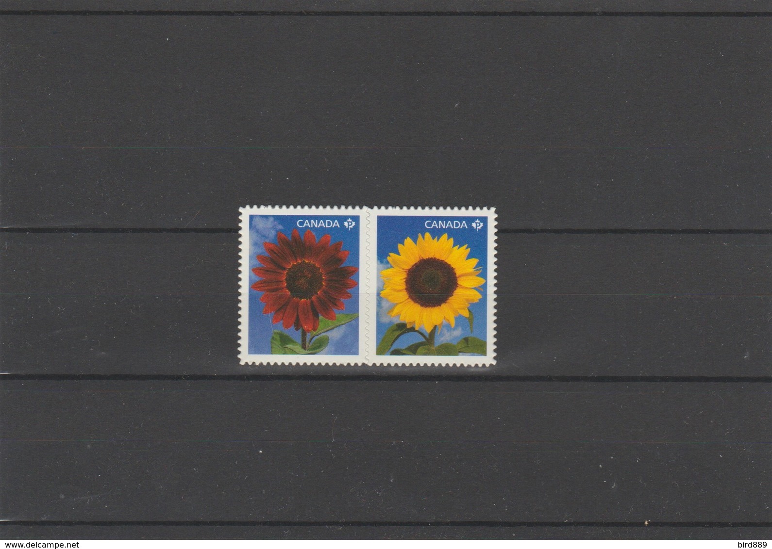 2011 Canada Flora Sunflowers Vertical Pair From Booklet MNH - Single Stamps