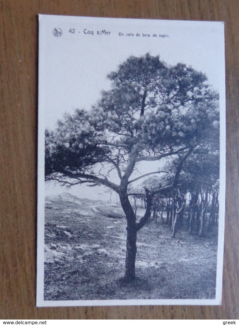 De Haan - Coq Sur Mer / Un Coin Du Bois De Sapin --> Onbeschreven - De Haan