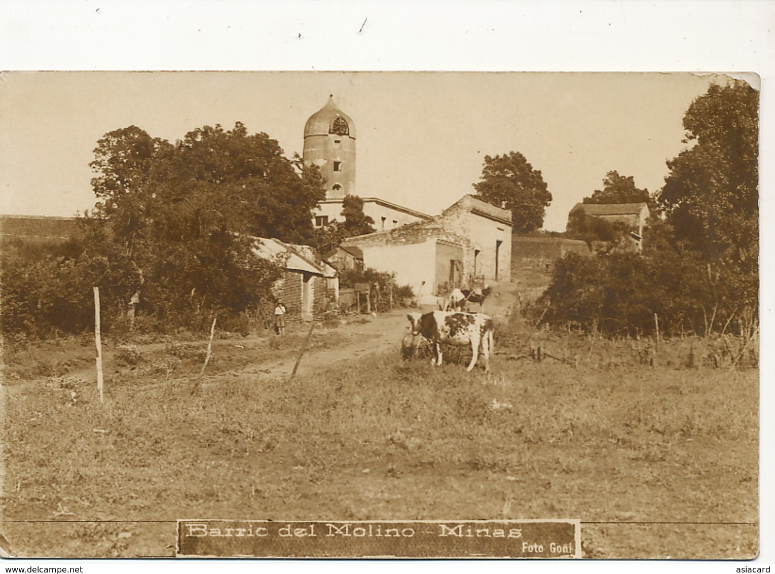 Real Photo Minas Barrio Del Molino Mill Moulin - Uruguay