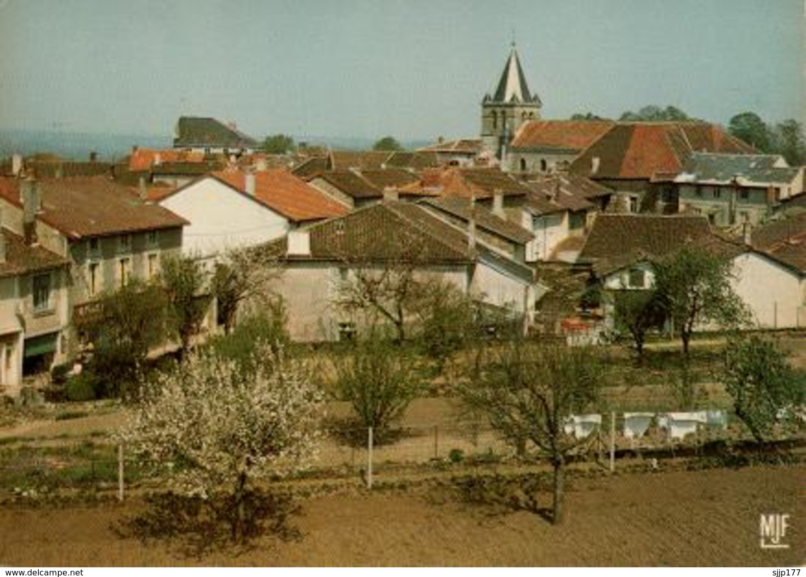 ORADOUR Sur VAYRES. Vue Générale - Oradour Sur Vayres