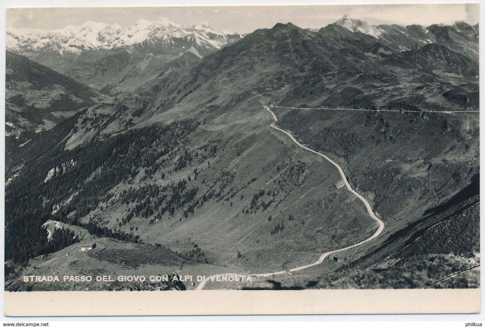 Strada Passo Del Giovo Con Alpi Di Venosta 22.08.1951 - Bolzano (Bozen)