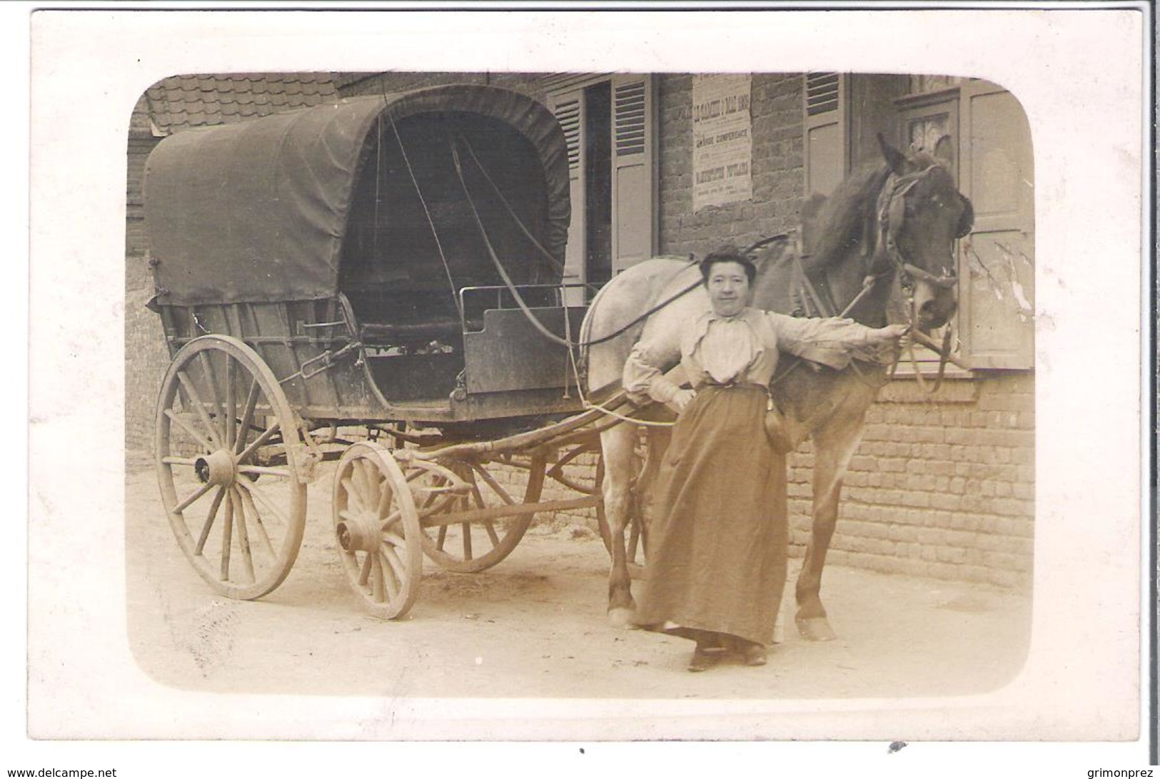 CARTE -PHOTO  NORD  Pas-de-Calais Attelage  De Cheval - Métier Une épicière Avec  Sa Carriole Et Son Cheval - Artisanat