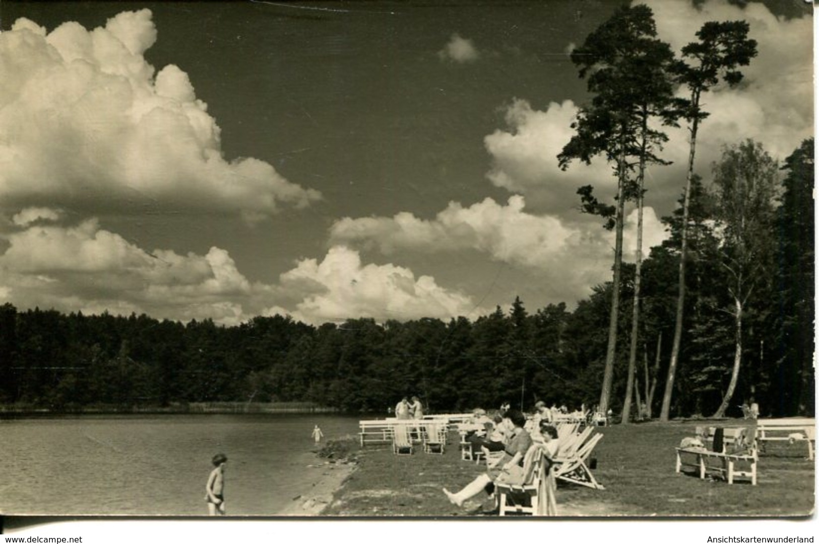 006497  Neuglobsow - Badestrand Am Stechlin-See - Neuglobsow