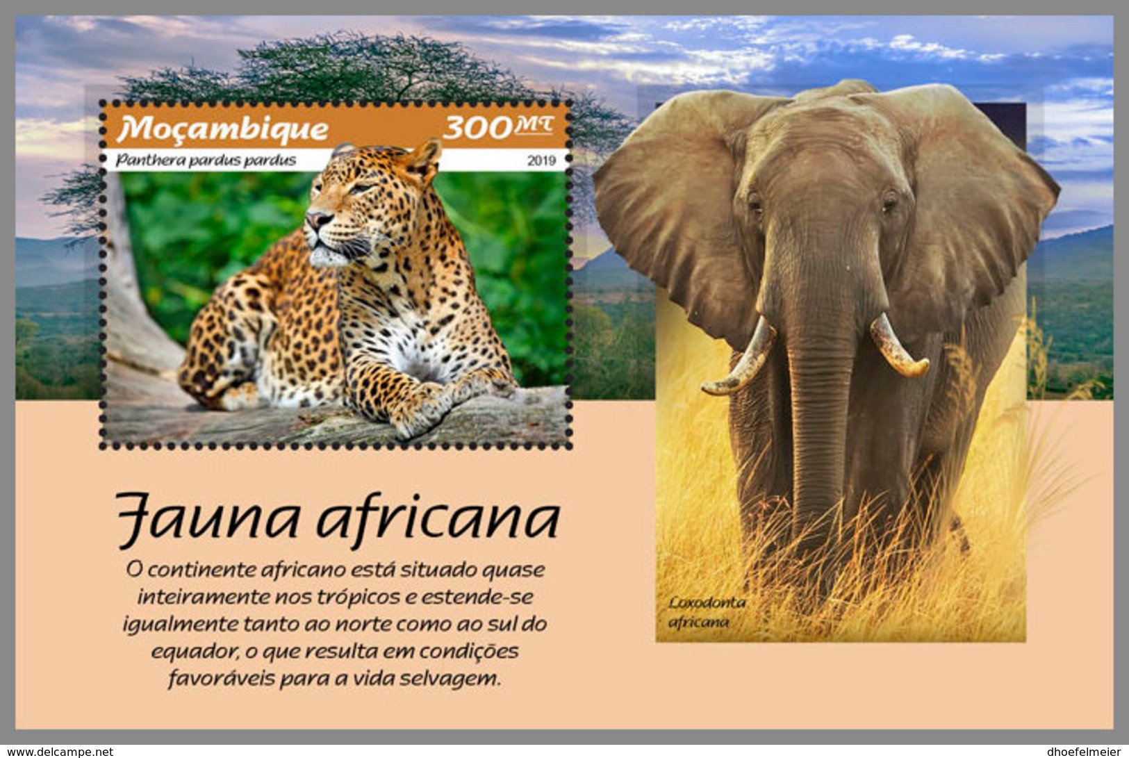 MOZAMBIQUE 2019 MNH African Fauna Panthera Panther S/S - OFFICIAL ISSUE - DH1907 - Big Cats (cats Of Prey)