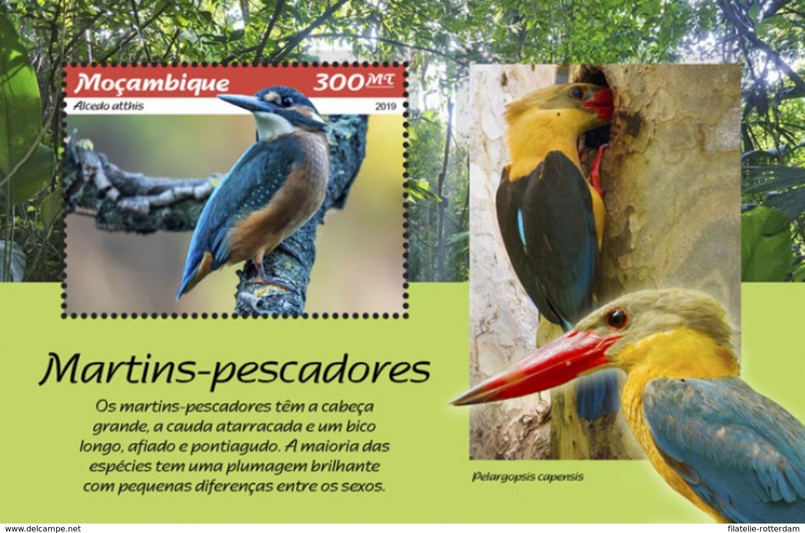 Mozambique - Postfris / MNH - Sheet Kingfishers 2019 - Mozambique