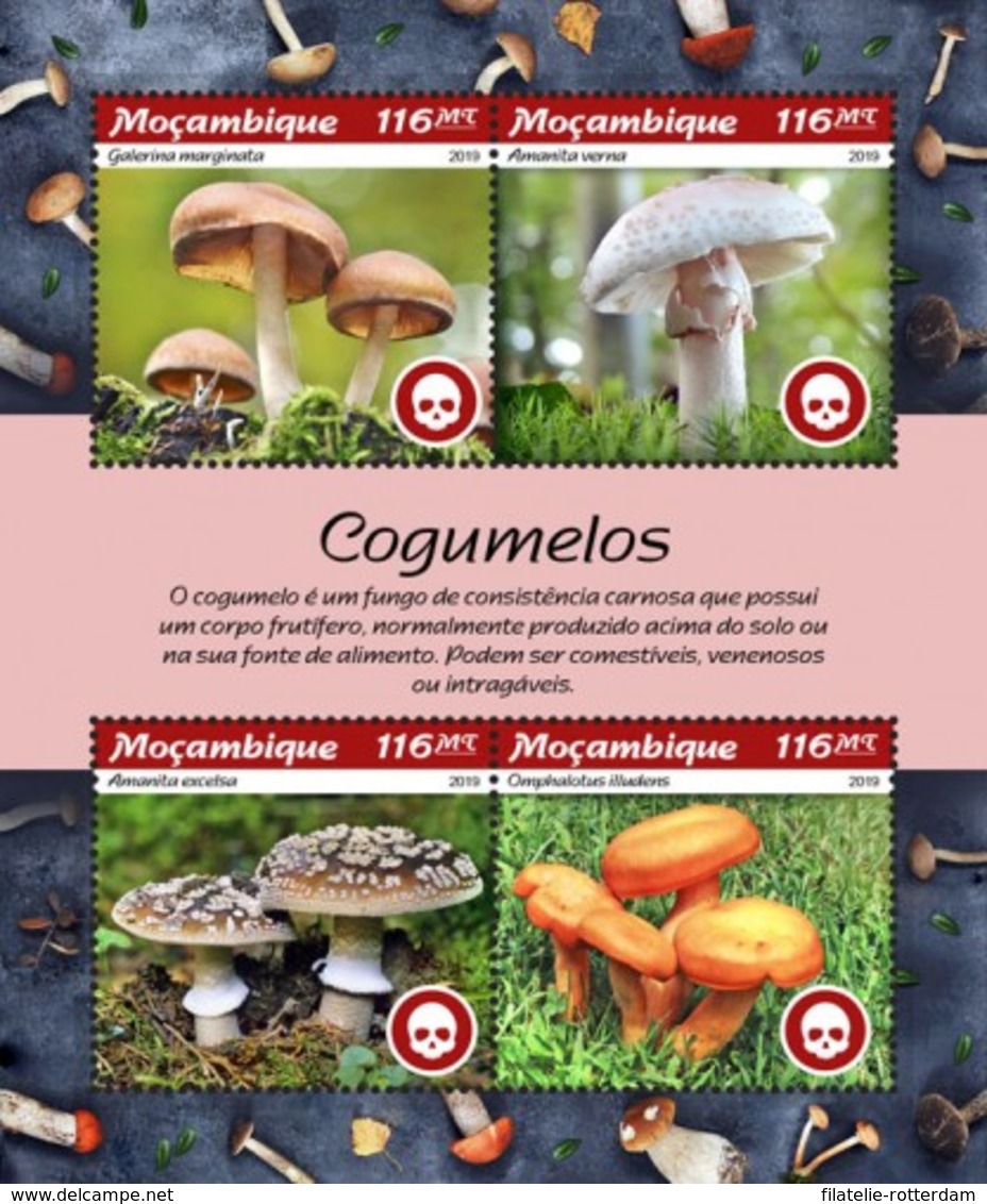 Mozambique - Postfris / MNH - Sheet Paddenstoelen 2019 - Mozambique