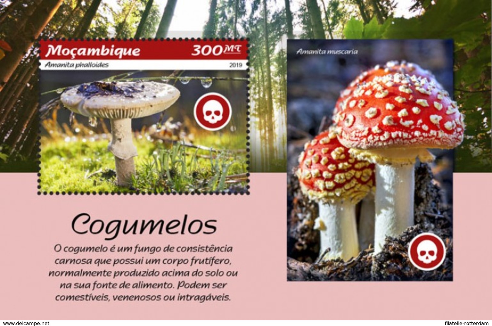 Mozambique - Postfris / MNH - Sheet Paddenstoelen 2019 - Mozambique