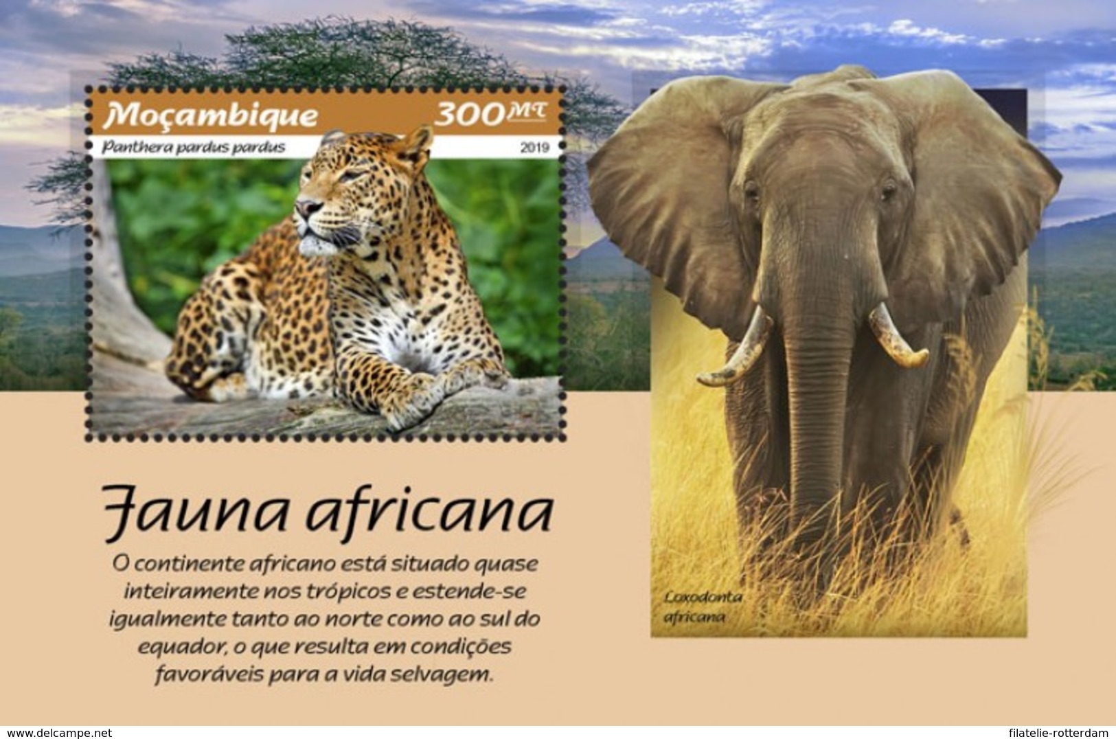 Mozambique - Postfris / MNH - Sheet Afrikaanse Fauna 2019 - Mozambique