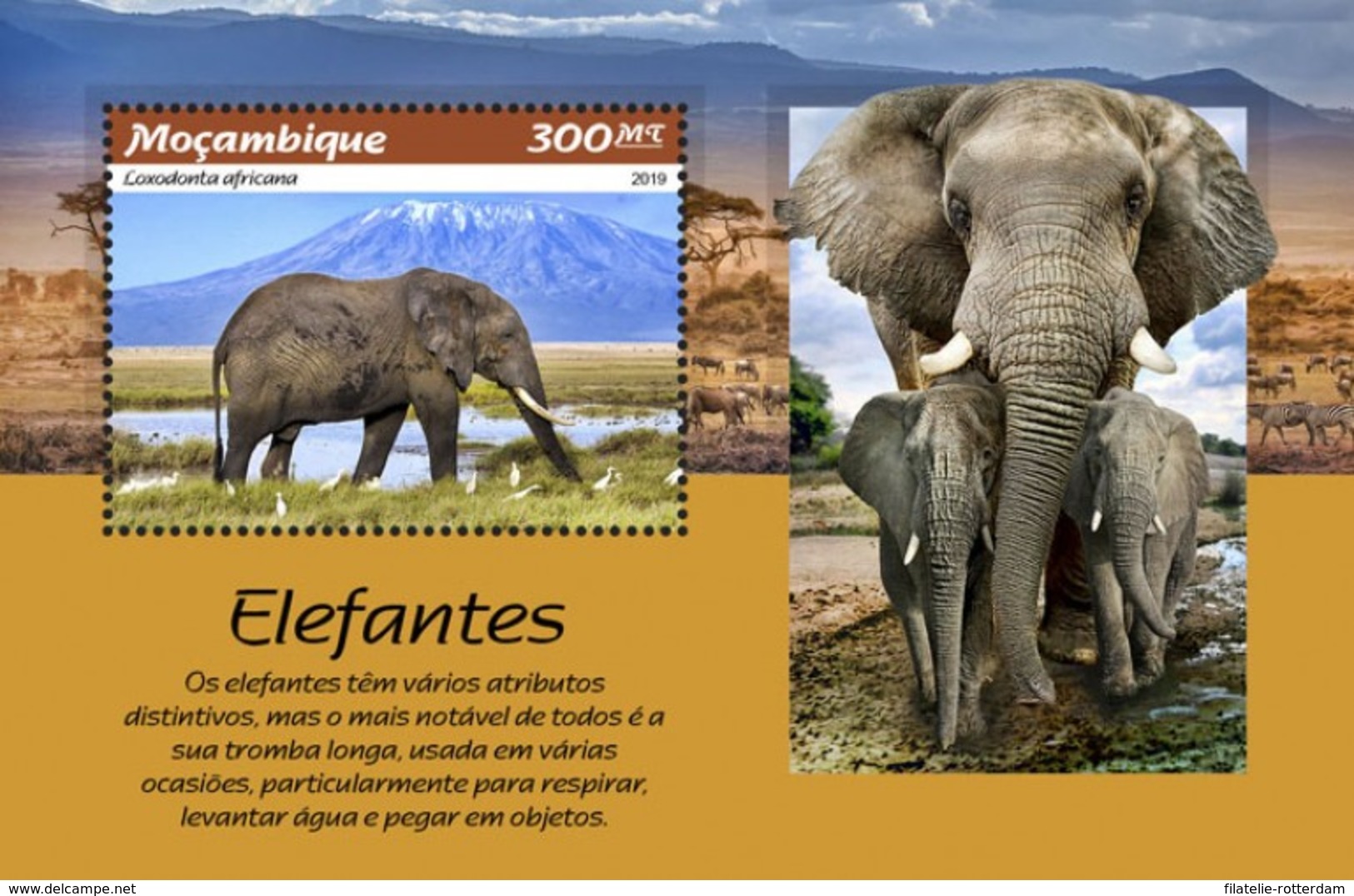 Mozambique - Postfris / MNH - Sheet Olifanten 2019 - Mozambique