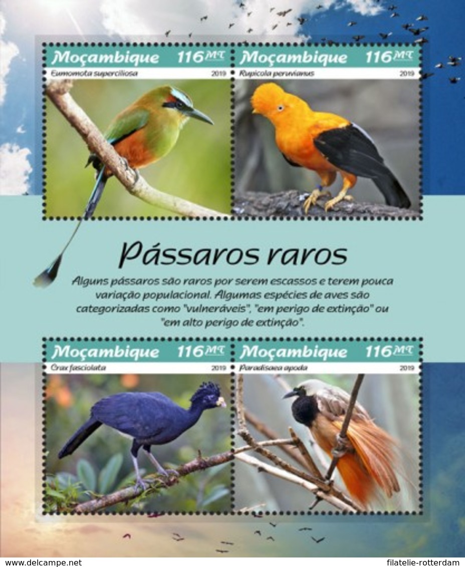 Mozambique - Postfris / MNH - Sheet Vogels 2019 - Mozambique
