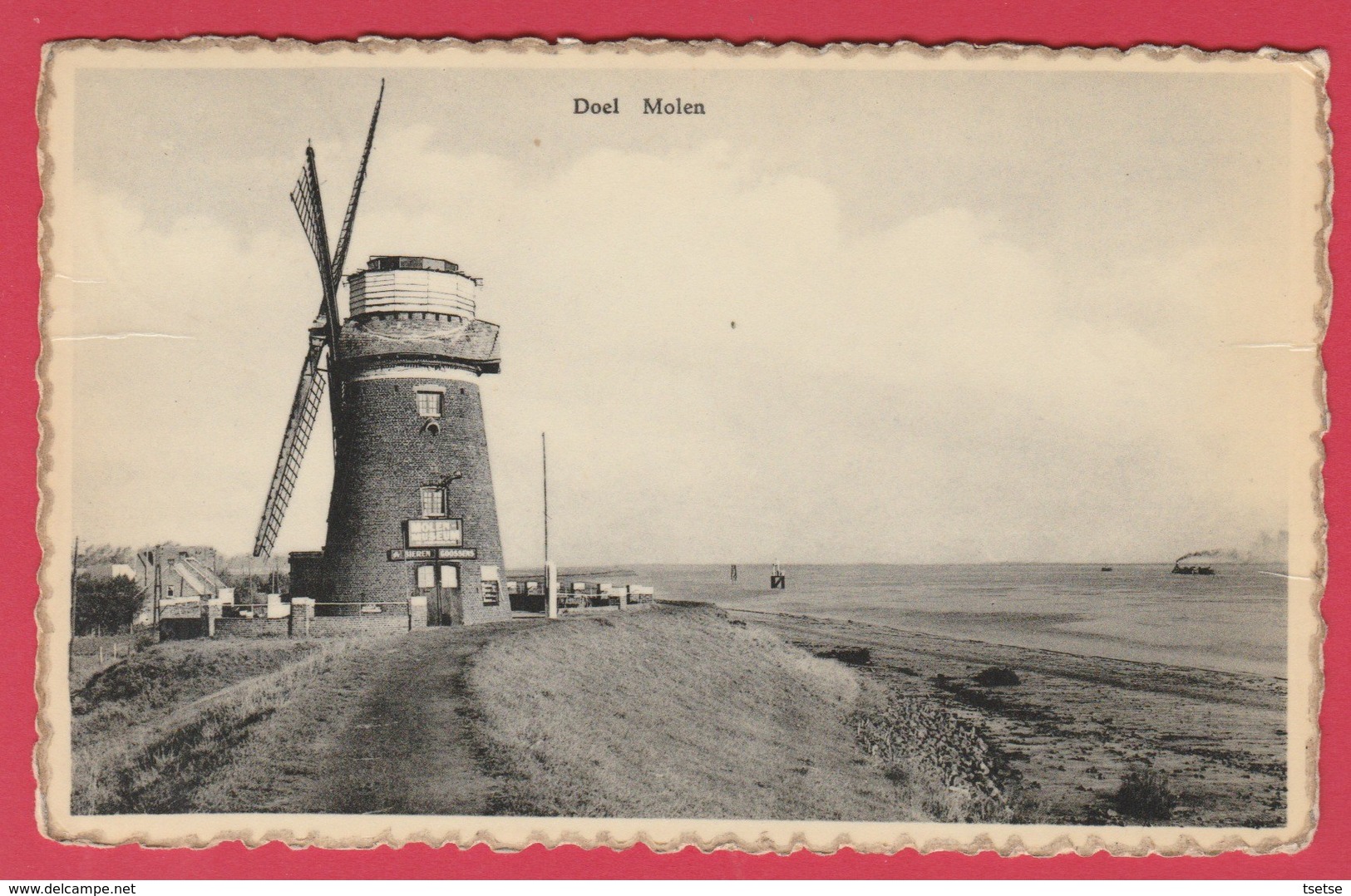 Doel - Windmolen ( Verso Zien ) - Beveren-Waas