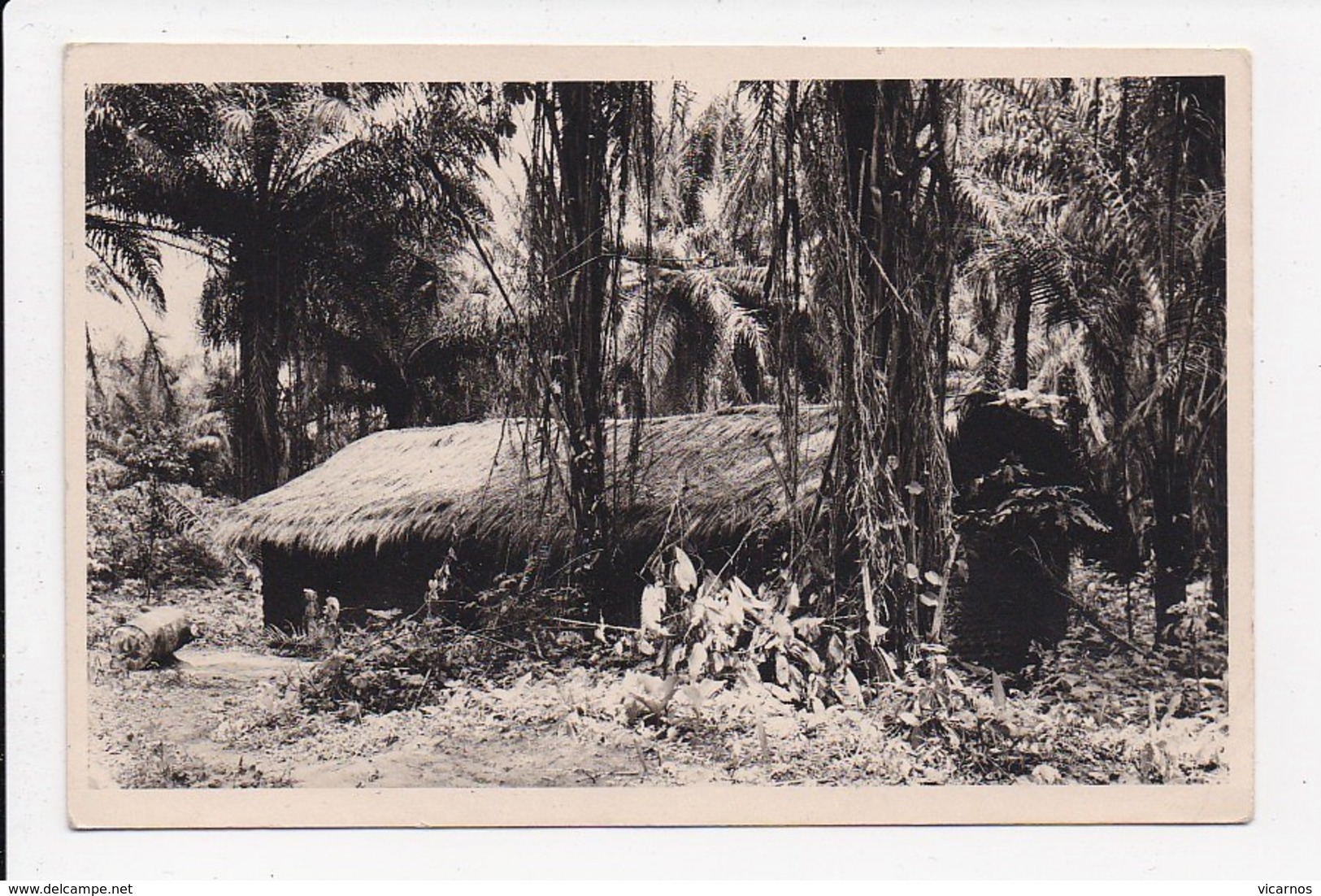 CARTE PHOTO CONGO Un Bonjour De Leopoldville ( Ecrit Au Dos) - Kinshasa - Léopoldville