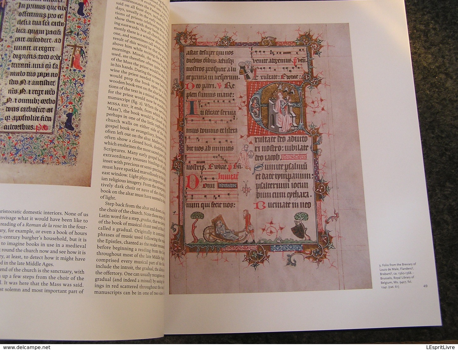 MEDIEVAL MASTERY Book Illumination From Charlemagne to Charles The Bold 800 1475  Moyen Age Gospels Religious Church