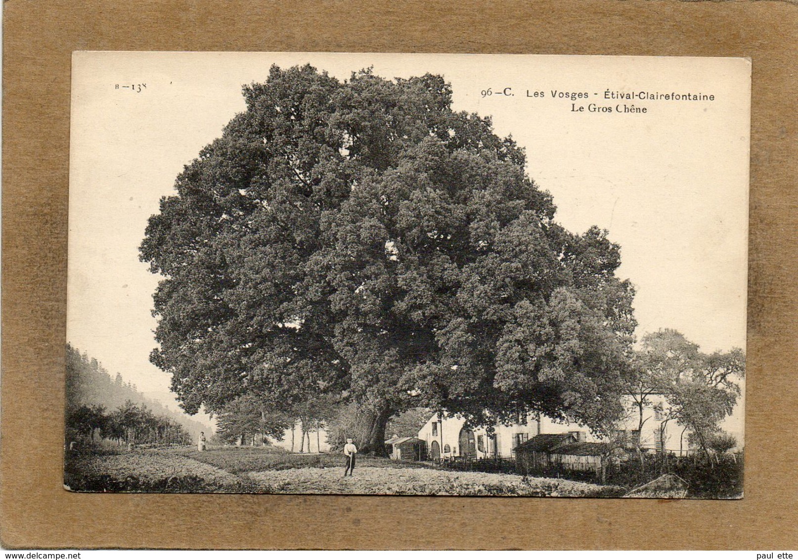 CPA - ETIVAL-CLAIREFONTAINE (88) - Thème : Arbre - Aspect Du Gros Chêne Au Début Du Siècle - Etival Clairefontaine