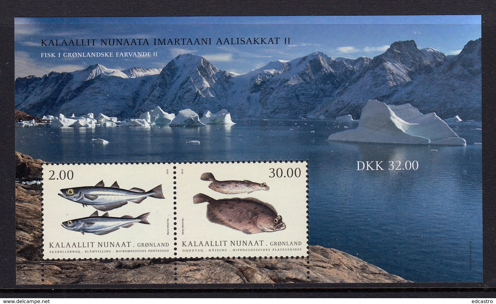 1.- GREENLAND 2019 Fish In Greenland II - Nuevos