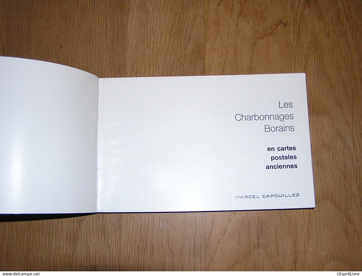 LES CHARBONNAGES BORAINS EN CARTES POSTALES Régionalisme Mine Charbon Wasmes Boussu Dour Quaregnon Flénu Cuesmes Ciply - België