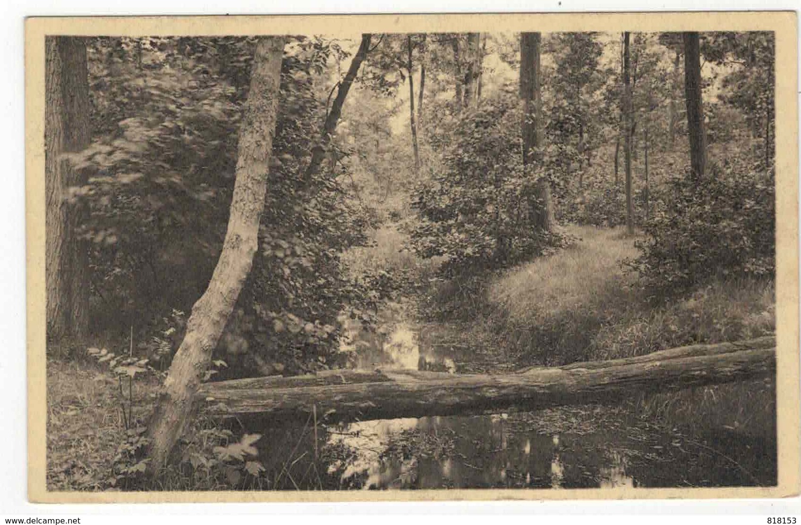 Rijmenam Rymenam-lez-Malines  Eau Noire - La Passerelle - Bonheiden