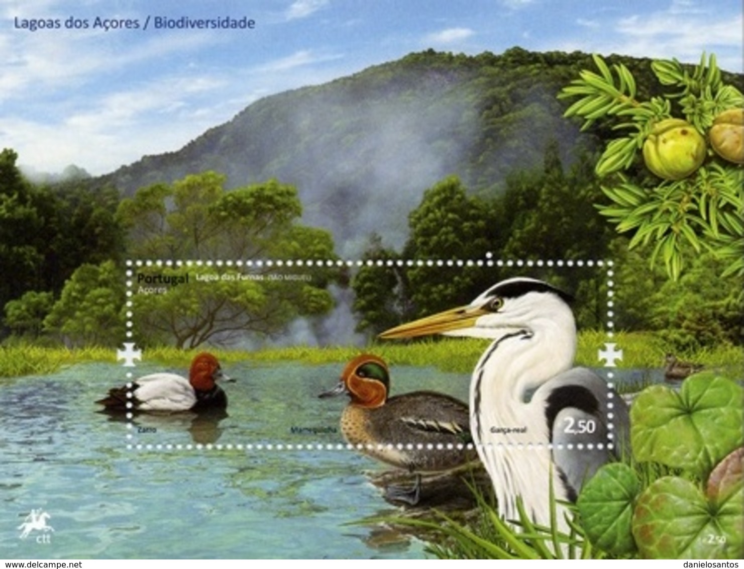 Portugal  Azores Açores 2009 Biodiversity Of Lakes And Lagoons Zarro, Marrequinha, Garça-real - Souvenir Sheet MNH - Ducks