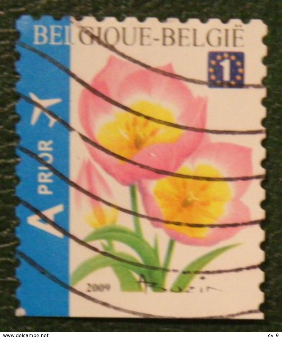 Blumen Bloemen Fleur Flower Tulp Tulip Tulpe Mi 3918 Du 2009 Used/gebruikt/oblitere BELGIE / BELGIEN BELGIUM / Belgique - Gebraucht