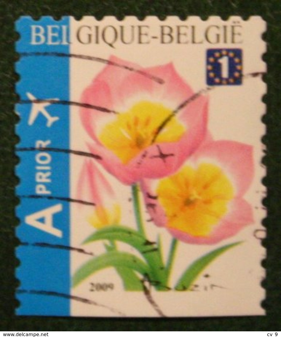 Blumen Bloemen Fleur Flower Tulp Tulip Tulpe Mi 3918 Du 2009 Used/gebruikt/oblitere BELGIE / BELGIEN BELGIUM / Belgique - Gebraucht