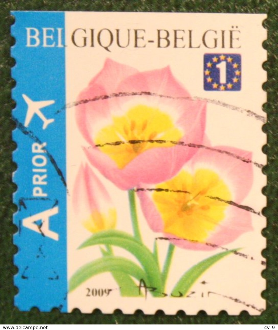 Blumen Bloemen Fleur Flower Tulp Tulip Tulpe Mi 3918 Do 2009 Used/gebruikt/oblitere BELGIE / BELGIEN BELGIUM / Belgique - Gebraucht