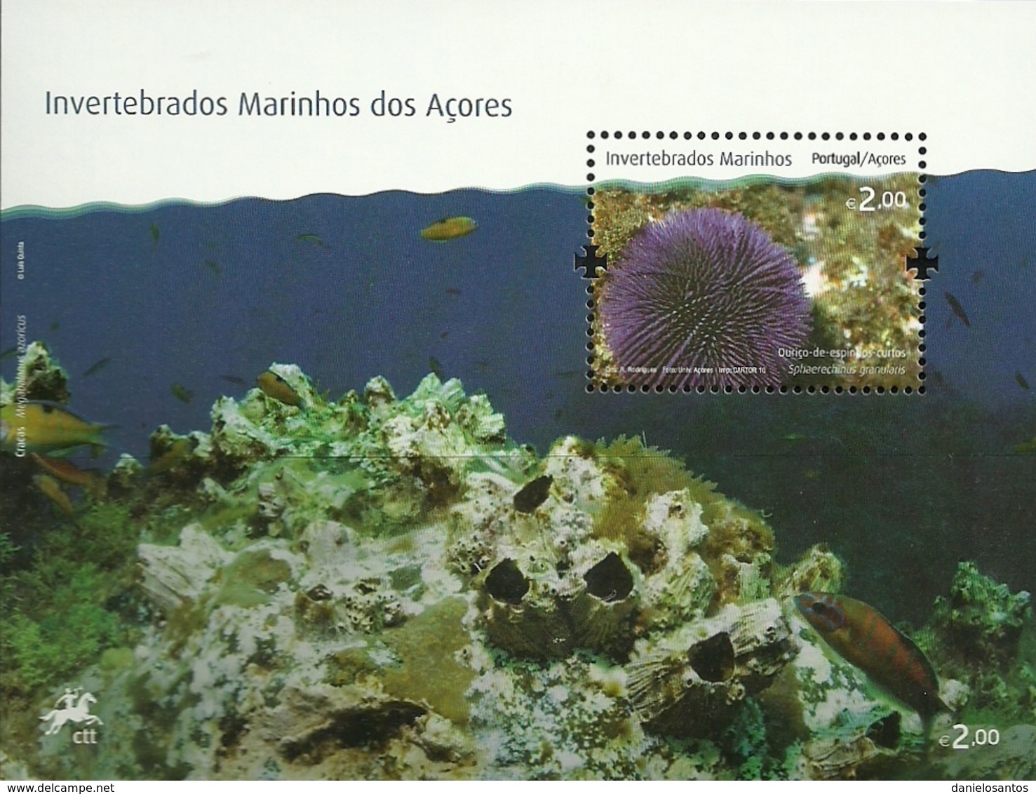 Portugal  Azores Açores 2010 Marine Invertebrates - Sphaerechinus Granularis - Souvenir Sheet MNH - Crustaceans