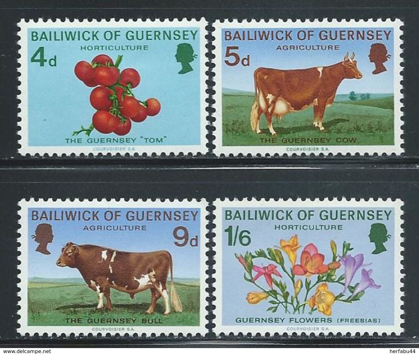 Guernsey       "Cows"    Set    SC# 33-36    MNH - Guernsey